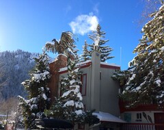 Hotel Tyrolean Lodge (Aspen, USA)