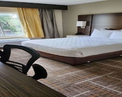 Airport Inn & Suites Hotel (Orlando, ABD)