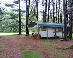 Hele huset/lejligheden Kettle Creek Fishing - 15’ Vintage Camper Stay On Private Property (Renovo, USA)