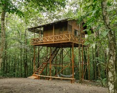 Tree Houses Hotel Costa Rica (San Ramón, Kostarika)
