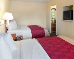 Otel Econo Lodge Inn & Suites Six Flags Arlington (Arlington, ABD)