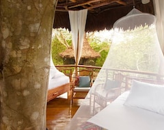 Bed & Breakfast Treehouse Lodge (Iquitos, Peru)