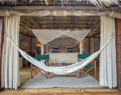 Leirintäalue Sindabezi Island Camp (Livingstone, Zambia)