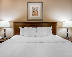 Hotel Quality Inn & Suites Dawsonville (Dawsonville, USA)