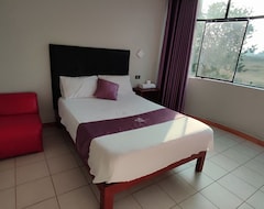 Hotel Hospedaje Huaca Palmeras (Los Olivos, Peru)
