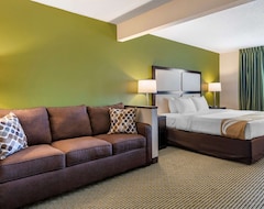 Hotel Quality Inn&suites (Bay City, USA)