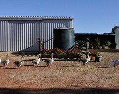 Toàn bộ căn nhà/căn hộ Donn4254c - Wilga Farm Stay - Cockatoo Cottage (Boyup Brook, Úc)
