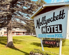 Motel Mollyockett (Paris, EE. UU.)