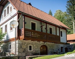 Tüm Ev/Apart Daire Studio Apartment Pr Mirotu (Osilnica, Slovenya)
