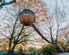 Toàn bộ căn nhà/căn hộ Cabane Suspendue (Wargnies-le-Petit, Pháp)