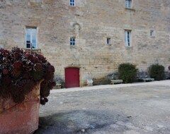 Koko talo/asunto Castle Of The 15th Century, Near Alesia - Flavigny, Homestead (Thenissey, Ranska)