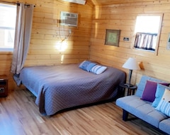 Toàn bộ căn nhà/căn hộ Cozy Cabin. Sleeps 2-4. Includes Kitchenette, Wi-fi And An Outdoor Space. (Napoleon, Hoa Kỳ)