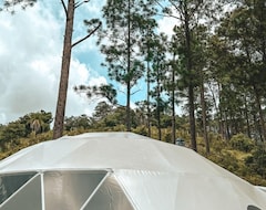 Entire House / Apartment Luxury Geodesic Eco-dome In Nature: Exclusive Glamping In Tiny Pines - Sky Dome (Comayagua, Honduras)