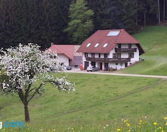 Cijela kuća/apartman Ferienwohnung Ringwald (Biderbah, Njemačka)
