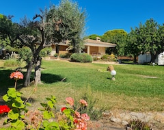 Tüm Ev/Apart Daire Villa With Extensive Plot And Garden. Direct Access To Semi Private Beach (Alcanar, İspanya)