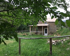 Toàn bộ căn nhà/căn hộ Small Stone House (Olivese, Pháp)