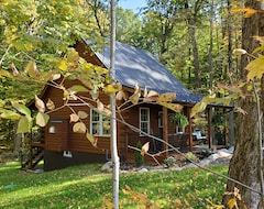 Toàn bộ căn nhà/căn hộ The Wildflower - Private Cabin In Wooded Setting (Cortland, Hoa Kỳ)