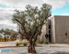 Hotel Andana Winery & Spa (Valle de Guadalupe, México)