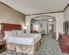 Hotel Holiday Inn Express & Suites Lubbock South (Lubbock, USA)
