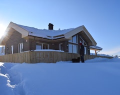 Toàn bộ căn nhà/căn hộ New House On Mountain, Lake View, Skiing, Fishing, Swimming, Dog Allowed, All Inclusive (Vrådal, Na Uy)