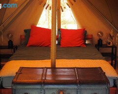 Kampiranje Glamping - Projekt Alpaka (Garbatka-Letnisko, Poljska)