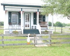 Casa/apartamento entero Goslings Nest Ranch Cottage (Flatonia, EE. UU.)