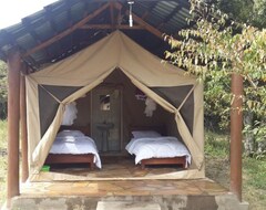 Khách sạn Mara Springs Safari Camp (Narok, Kenya)
