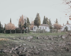 Hele huset/lejligheden Country Home In Dosbarrios, Toledo (Dosbarrios, Spanien)