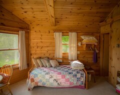Entire House / Apartment Pet freindly cabin in the meadows on the edge of the forest with big windows (McGrath, USA)