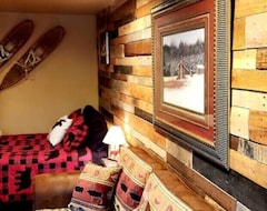Entire House / Apartment Simple Alaskan Cabin (Willow, USA)