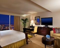 Hotel Hilton Americas-Houston (Houston, USA)