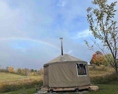 Toàn bộ căn nhà/căn hộ Private Yurt On 100+ Acre Tree Farm Near Ski Hills (Port Perry, Canada)