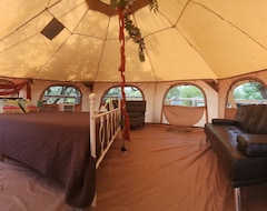 Hele huset/lejligheden Bubble Tent (Pipe Creek, USA)