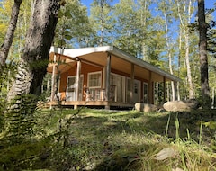 Entire House / Apartment Idyllic Bungalow In The Woods With Lake And Sauna Access (Kemptville, Canada)