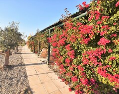 Toàn bộ căn nhà/căn hộ Gorgeous Villa For Families With Kids, Free Pool Heating, Superb Views (Caldas da Rainha, Bồ Đào Nha)