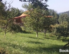 Koko talo/asunto Camping Panorama (Guča, Serbia)