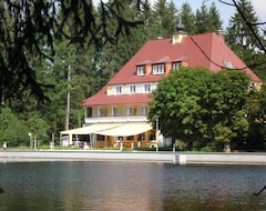 Hotel Waldsee (Lindenberg i. Allgäu, Tyskland)