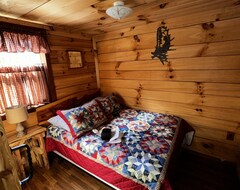 Hele huset/lejligheden Pet Friendly Teal Cabin Goose Pond Cabin Rentals (Clinton, USA)