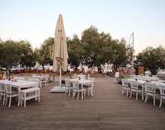 Hotel Meggs Bodrum Beach Restaurant & (Ortakent, Tyrkiet)