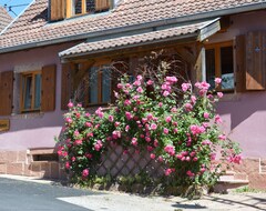 Otel Very Pretty Independent House, Garden, Garage. Assured Cocooning! (Thannenkirch, Fransa)