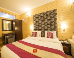 OYO 5174 Hotel Pamposh (Srinagar, India)