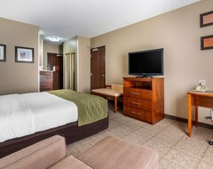 Otel Comfort Inn & Suites Sacramento University Area (Sacramento, ABD)