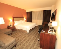Holiday Inn Hotel & Suites Leon Plaza Mayor (Leon, México)