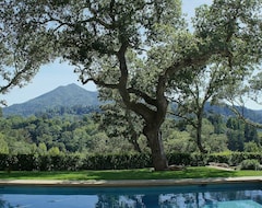 Hotel Private Resort Style Estate In Marin County (Ross, USA)
