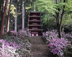 Tüm Ev/Apart Daire Fully Renovated Country House In Scenic Nara / Uda Nara (Masuda, Japonya)