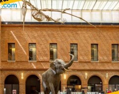 Toàn bộ căn nhà/căn hộ Le Petit Palais Au Calme Proche Metro/tram  Wifi (Toulouse, Pháp)