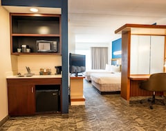Hotelli SpringHill Suites San Antonio Alamo Plaza/Convention Center (San Antonio, Amerikan Yhdysvallat)
