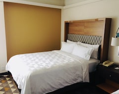 Hotel Holiday Inn & Suites Pittsfield-berkshires (Pittsfield, USA)