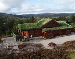 Toàn bộ căn nhà/căn hộ Vacation Home Skafjellstoga (tem011) In Felle - 7 Persons, 3 Bedrooms (Nissedal, Na Uy)