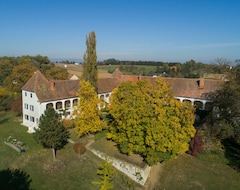 Toàn bộ căn nhà/căn hộ Castle Welsdorf - Exlusives Apartment - Near Loipersdorf Spa & Bad Blumau (Fürstenfeld, Áo)